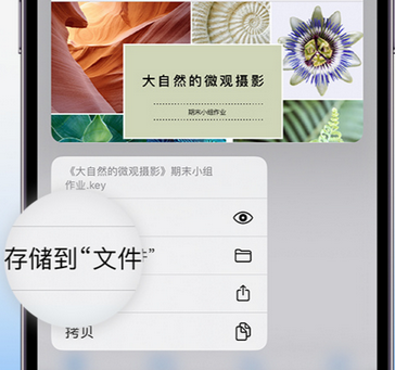 西丰apple维修中心分享iPhone文件应用中存储和找到下载文件