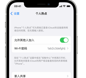 西丰apple服务站点分享iPhone上个人热点丢失了怎么办 