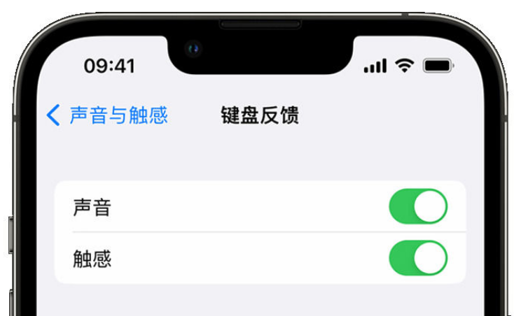 西丰苹果手机维修分享iPhone 14触感键盘使用方法 