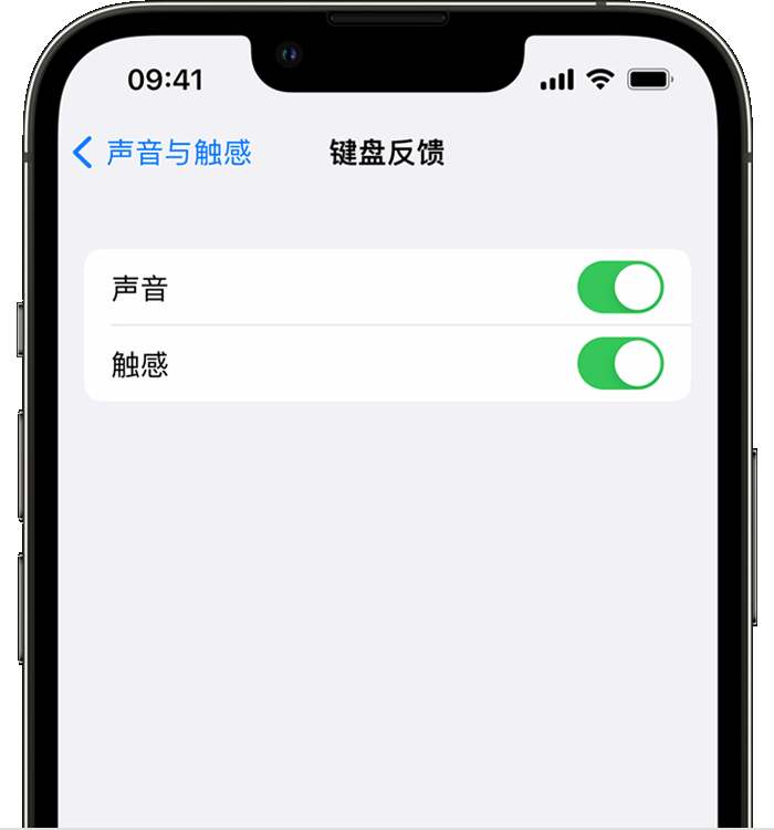 西丰苹果14维修店分享如何在 iPhone 14 机型中使用触感键盘 