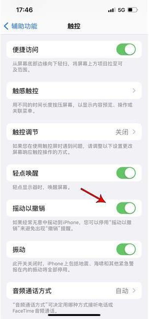 西丰苹果手机维修分享iPhone手机如何设置摇一摇删除文字 